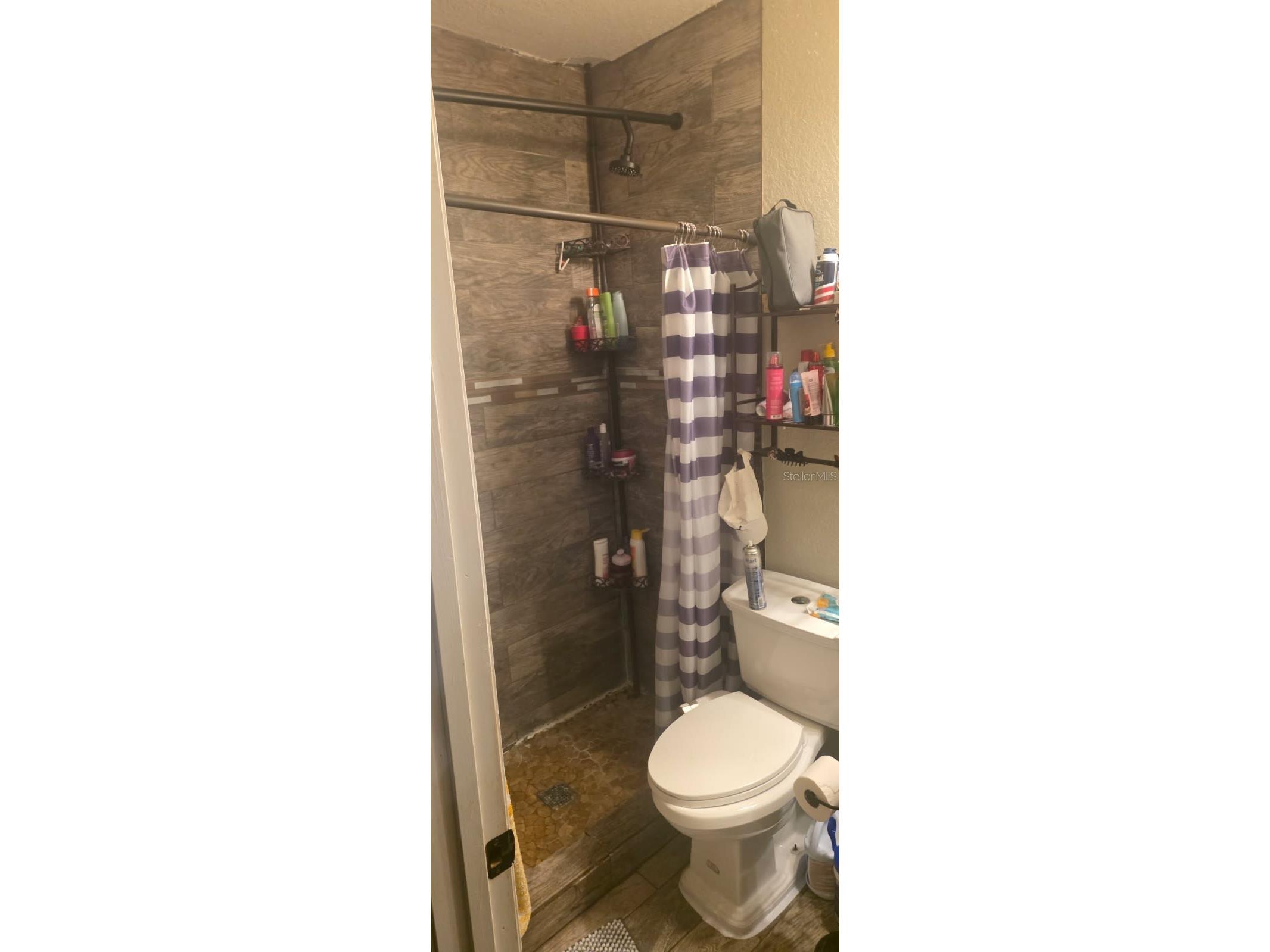 4906 Presidential Street Seffner FL 33584 P4937737 image21