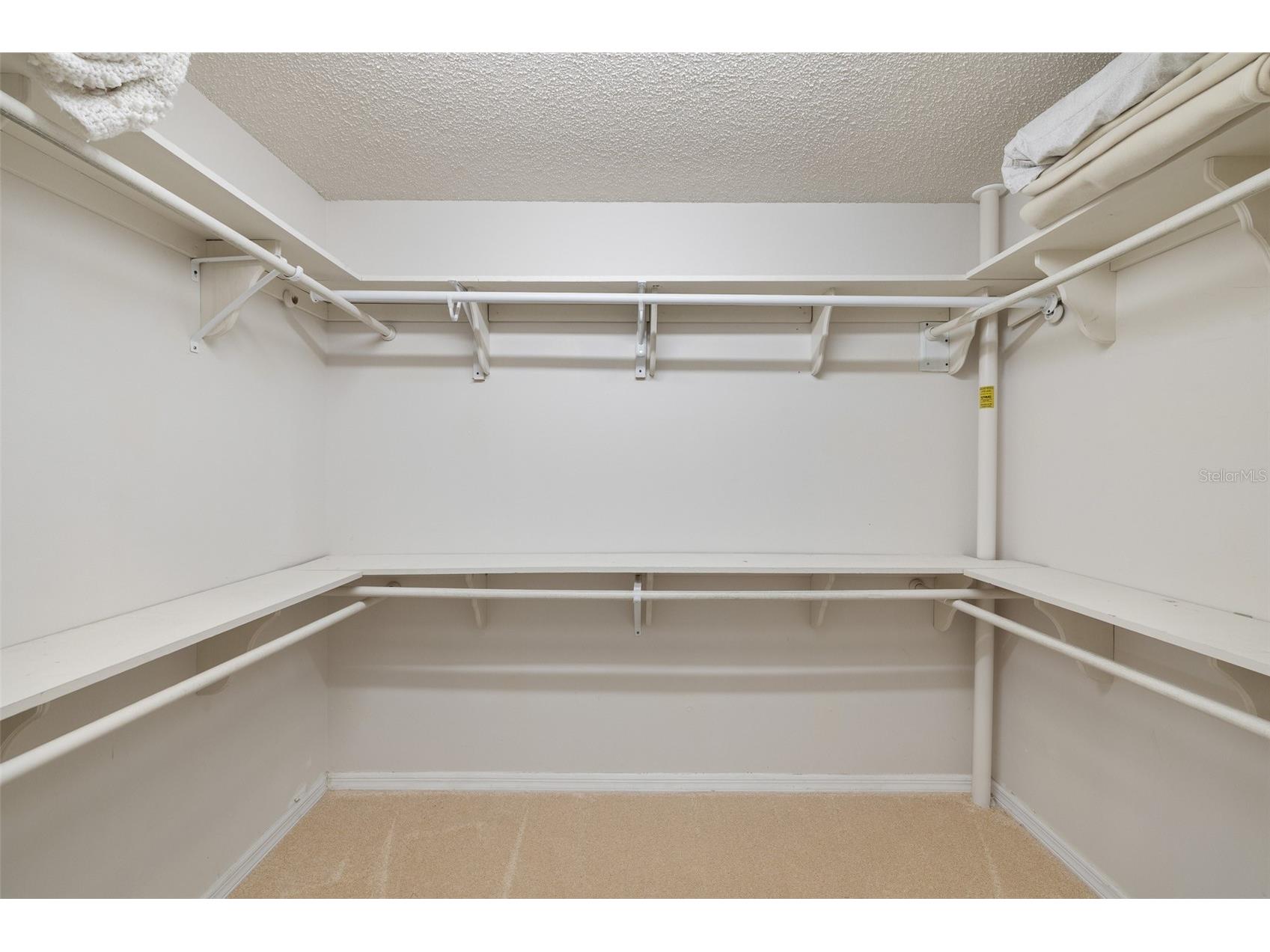 4906 Willow Ridge Terrace Valrico FL 33596 TB8456280 image26