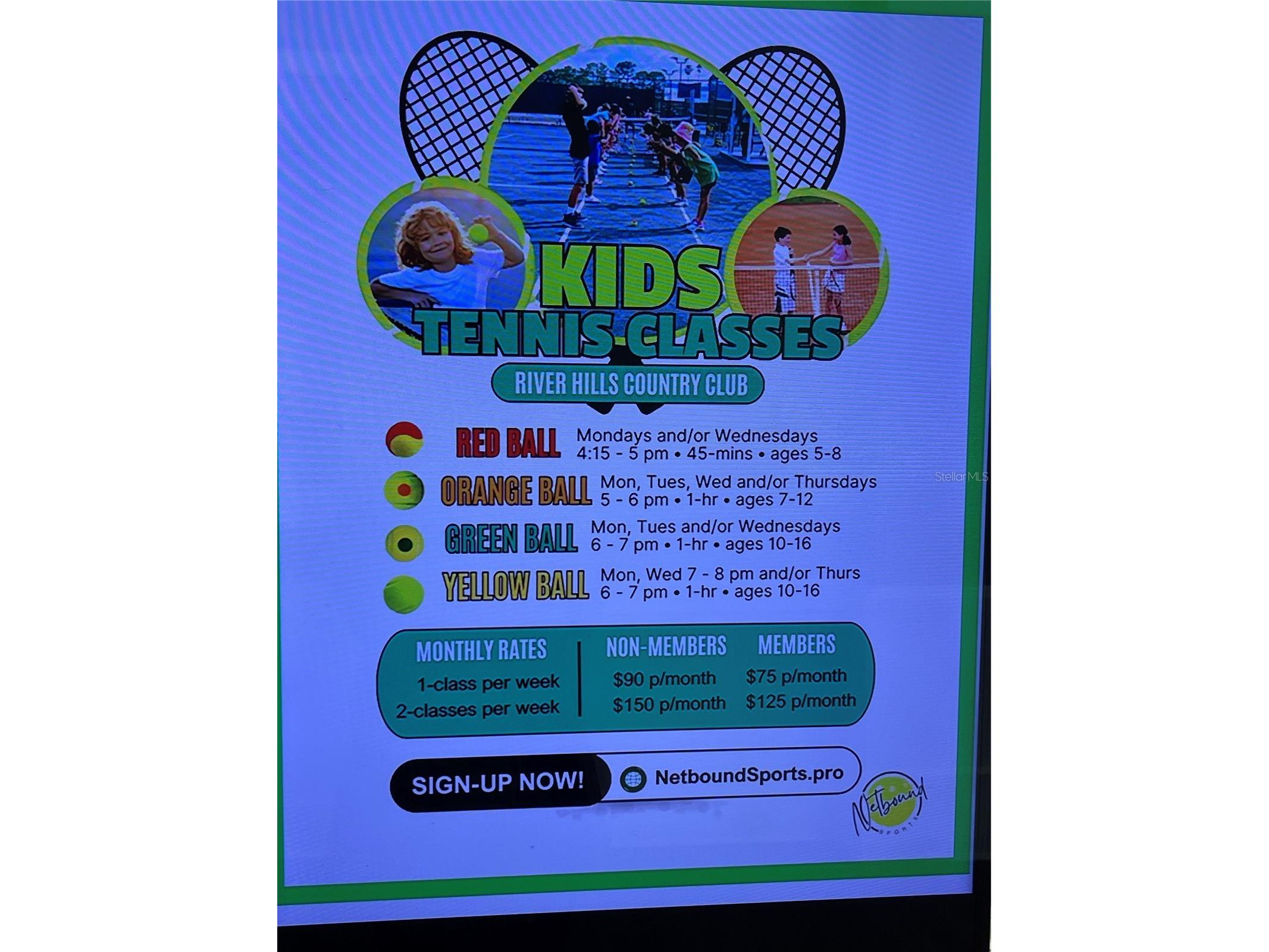 4906 Willow Ridge Terrace Valrico FL 33596 TB8456280 image63