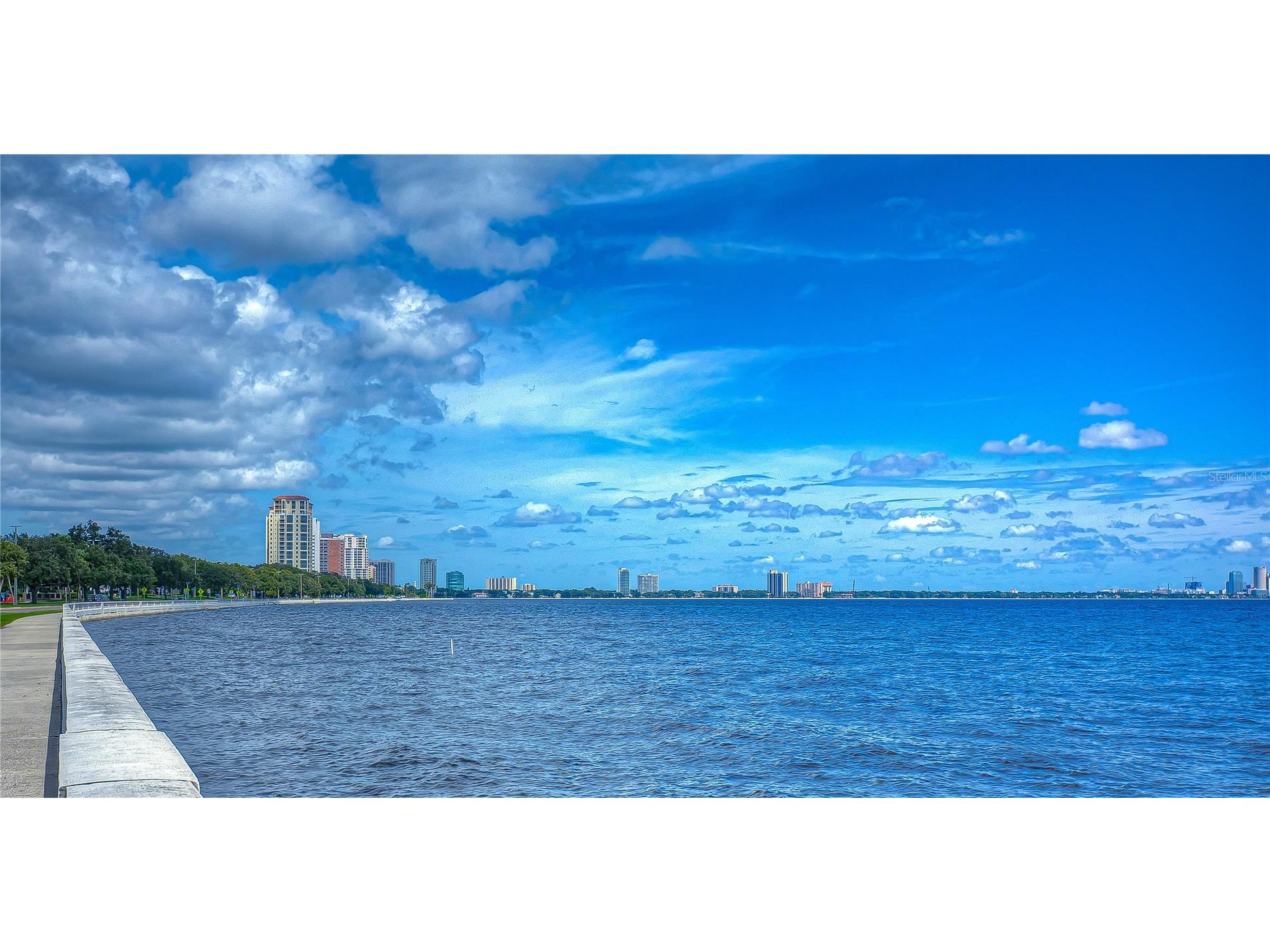 4907 Bayshore Boulevard #105 Tampa FL 33611 TB8514684 image3