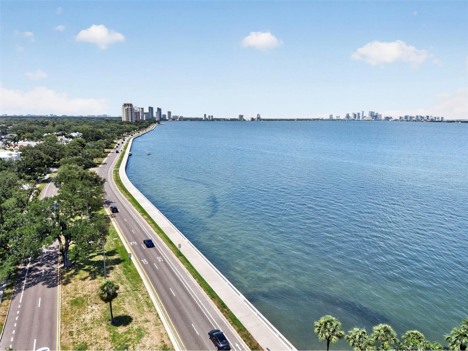 4907 Bayshore Boulevard #109 Tampa FL 33611 TB8512584 image76