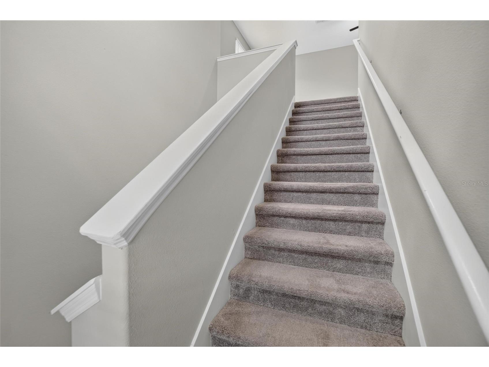 4907 Wild Senna Boulevard Tampa FL 33619 TB8525779 image20
