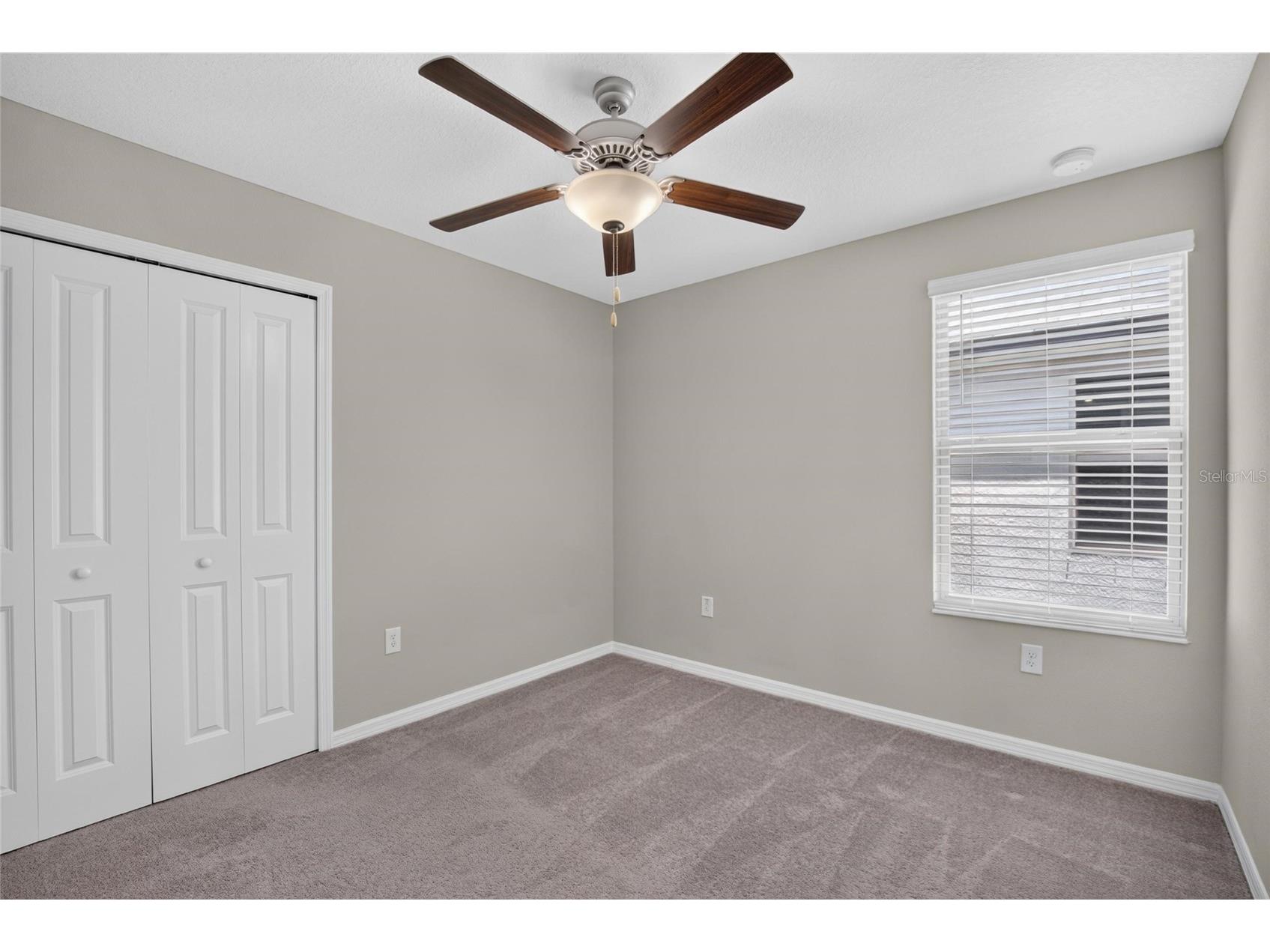 4907 Wild Senna Boulevard Tampa FL 33619 TB8525779 image32
