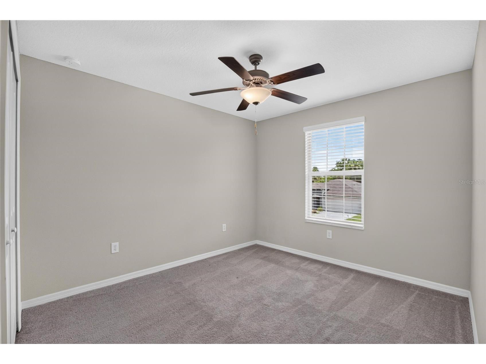 4907 Wild Senna Boulevard Tampa FL 33619 TB8525779 image37