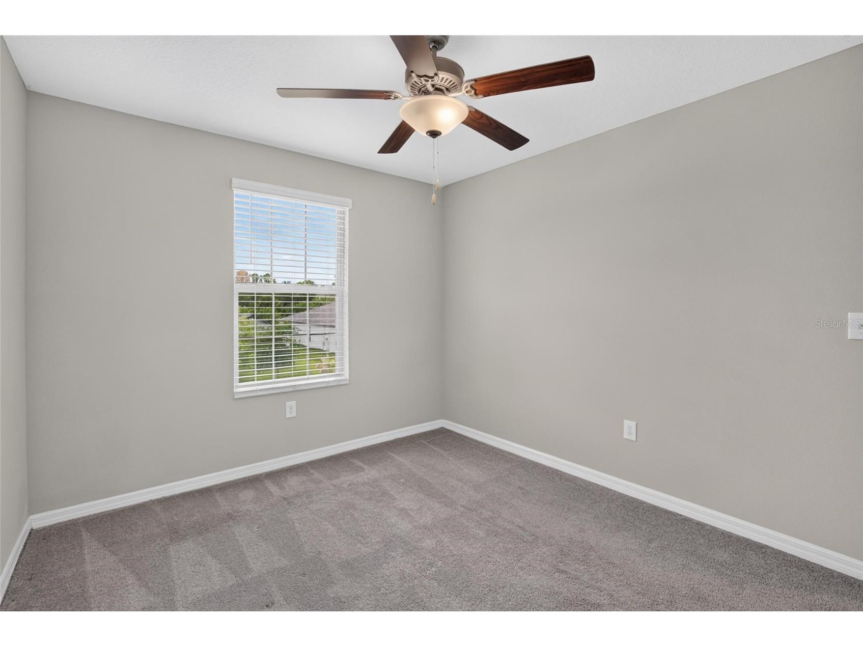 4907 Wild Senna Boulevard Tampa FL 33619 TB8525779 image38