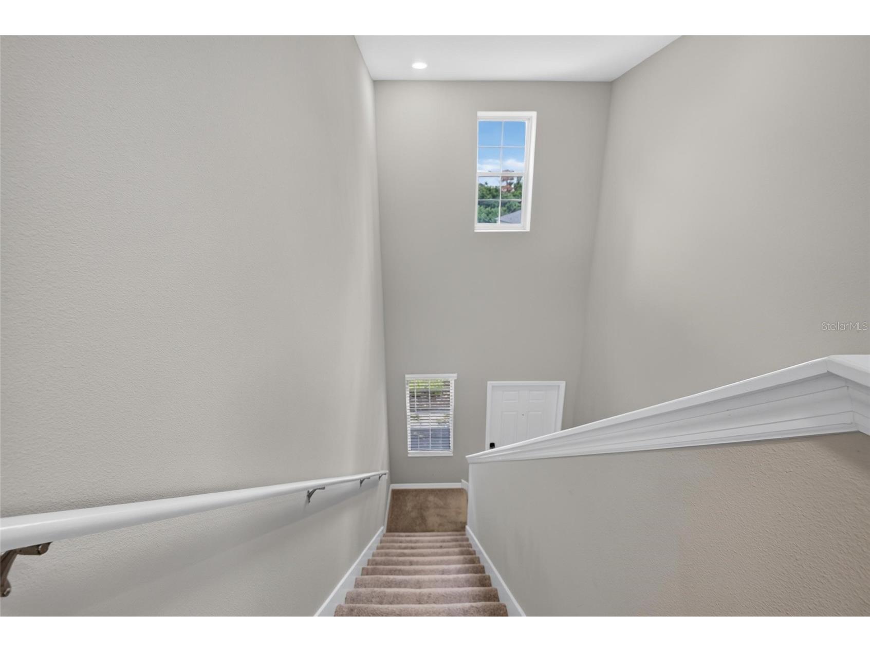 4907 Wild Senna Boulevard Tampa FL 33619 TB8525779 image45