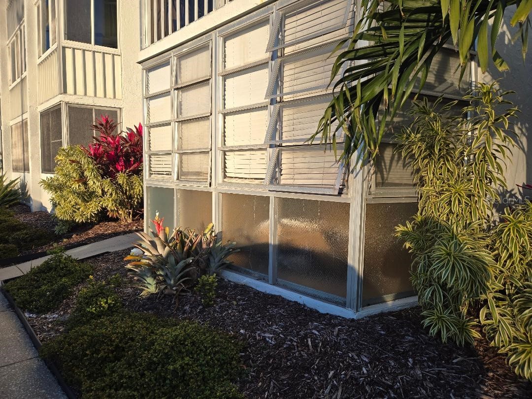 4908 38th Way S #103 Saint Petersburg FL 33711 TB8469324 image2