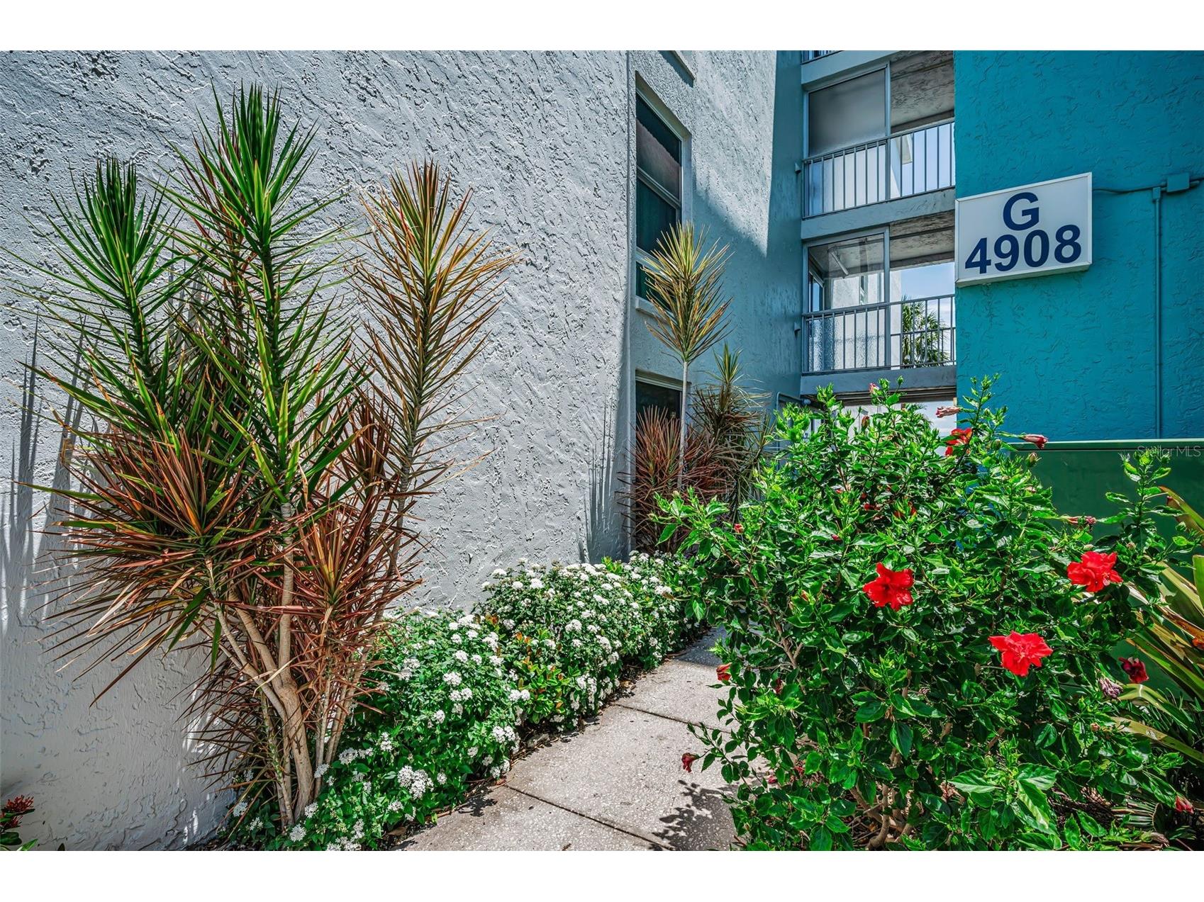4908 38th Way S #204 Saint Petersburg FL 33711 TB8503470 image2