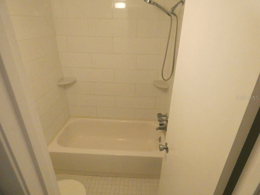 4908 38th Way S #303 Saint Petersburg FL 33711 W7886063 image14