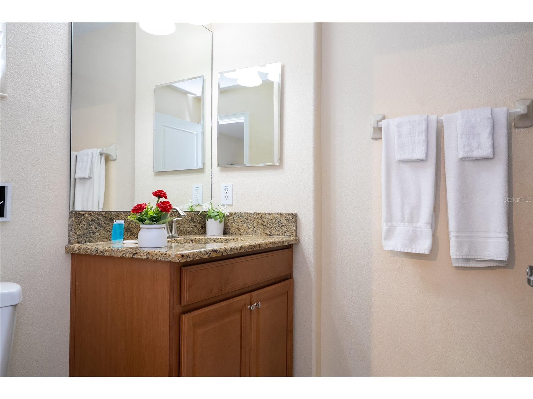 4908 Clock Tower Drive Kissimmee FL 34746 O6413160 image13