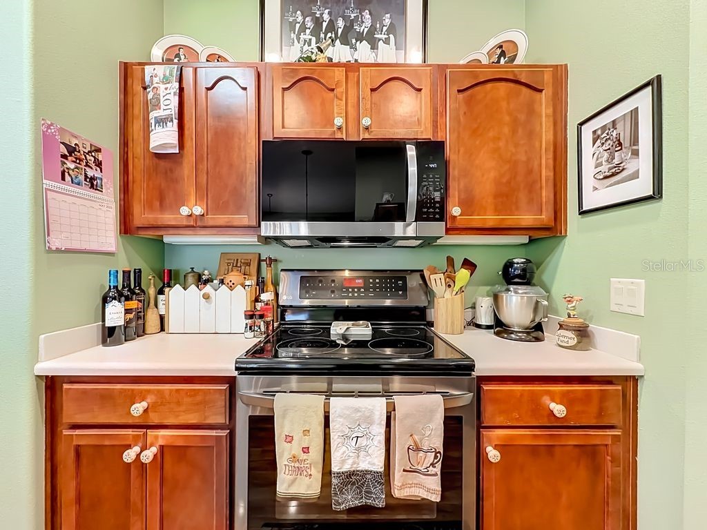 4908 Cypress Head Court Leesburg FL 34748 G5111653 image24