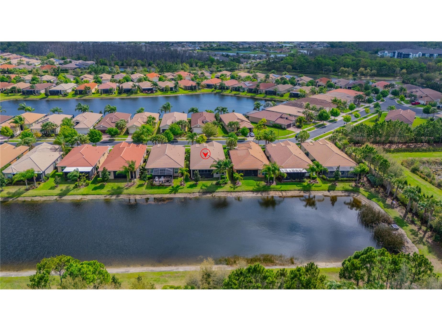 4908 Grand Banks Drive Wimauma FL 33598 TB8486722 image3
