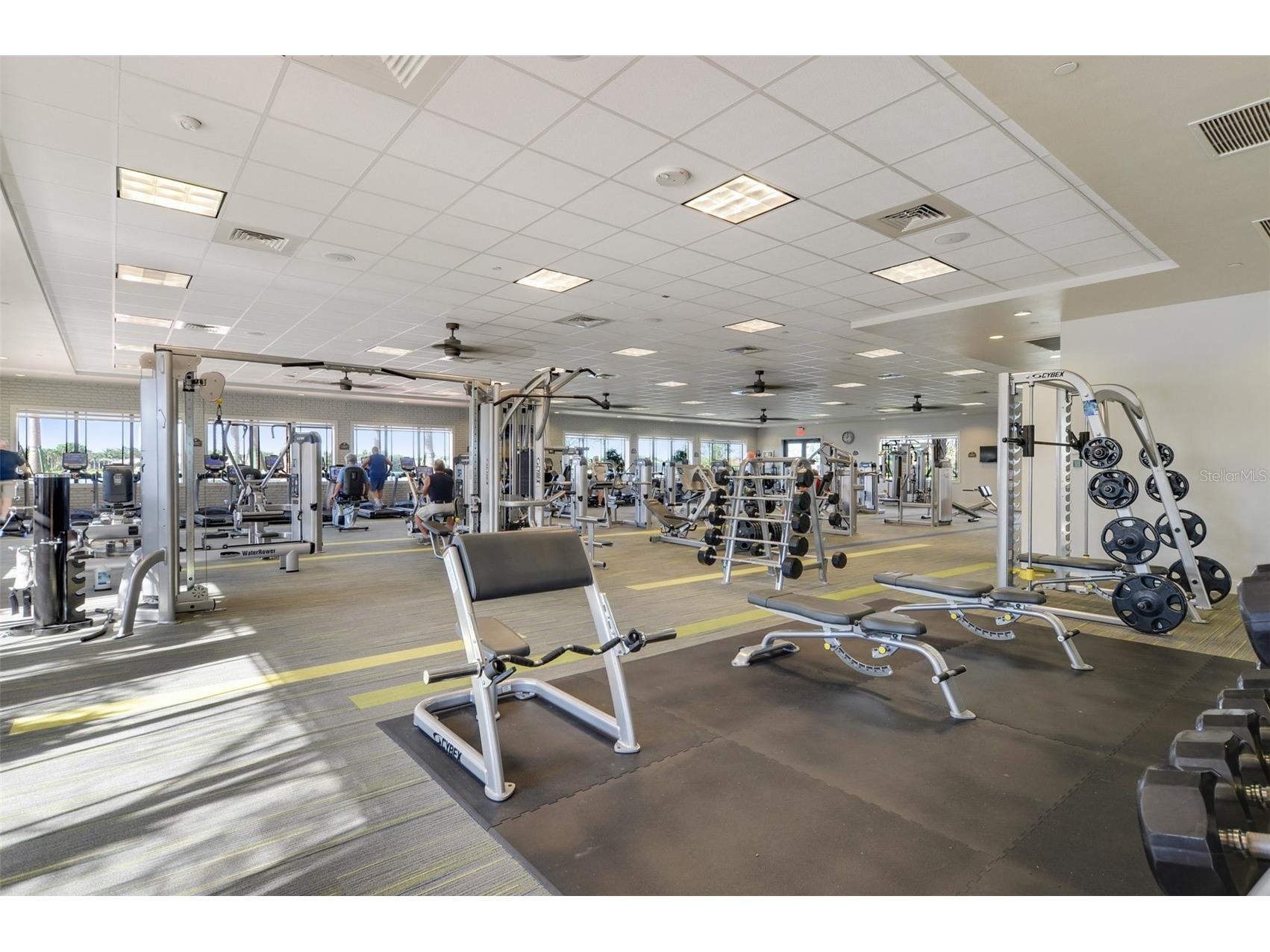 4908 Grand Banks Drive Wimauma FL 33598 TB8486722 image39