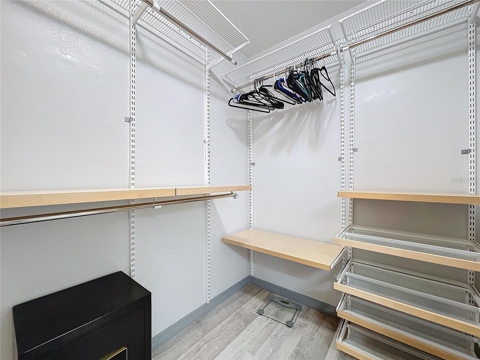 4908 Harbor Woods Drive Palm Harbor FL 34683 TB8463190 image35