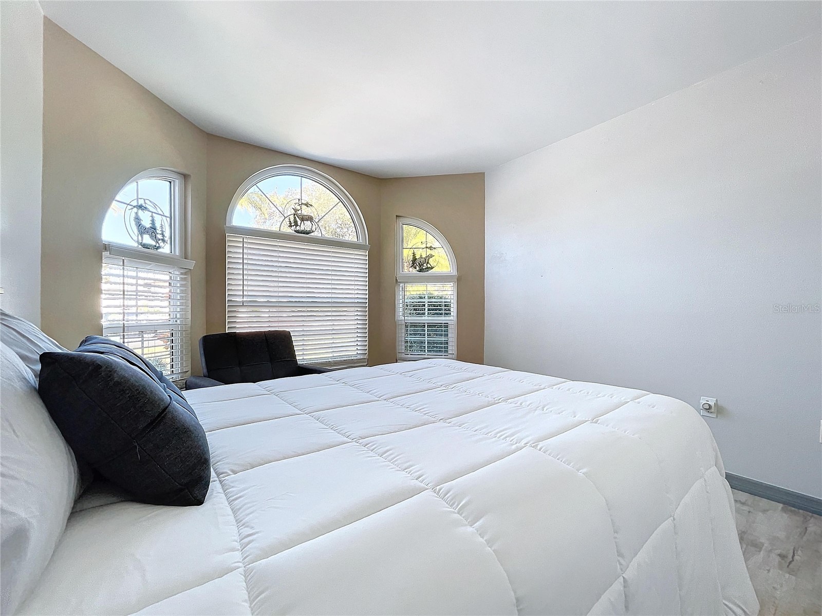 4908 Harbor Woods Drive Palm Harbor FL 34683 TB8463190 image37