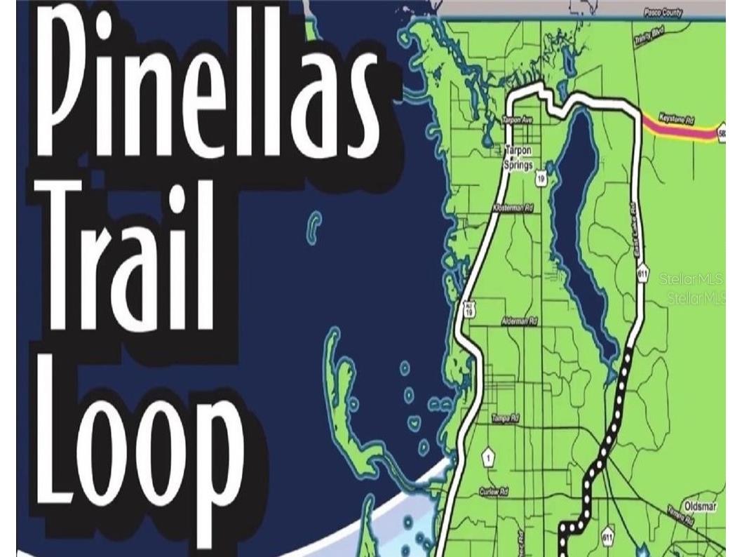 4908 Harbor Woods Drive Palm Harbor FL 34683 TB8463190 image64