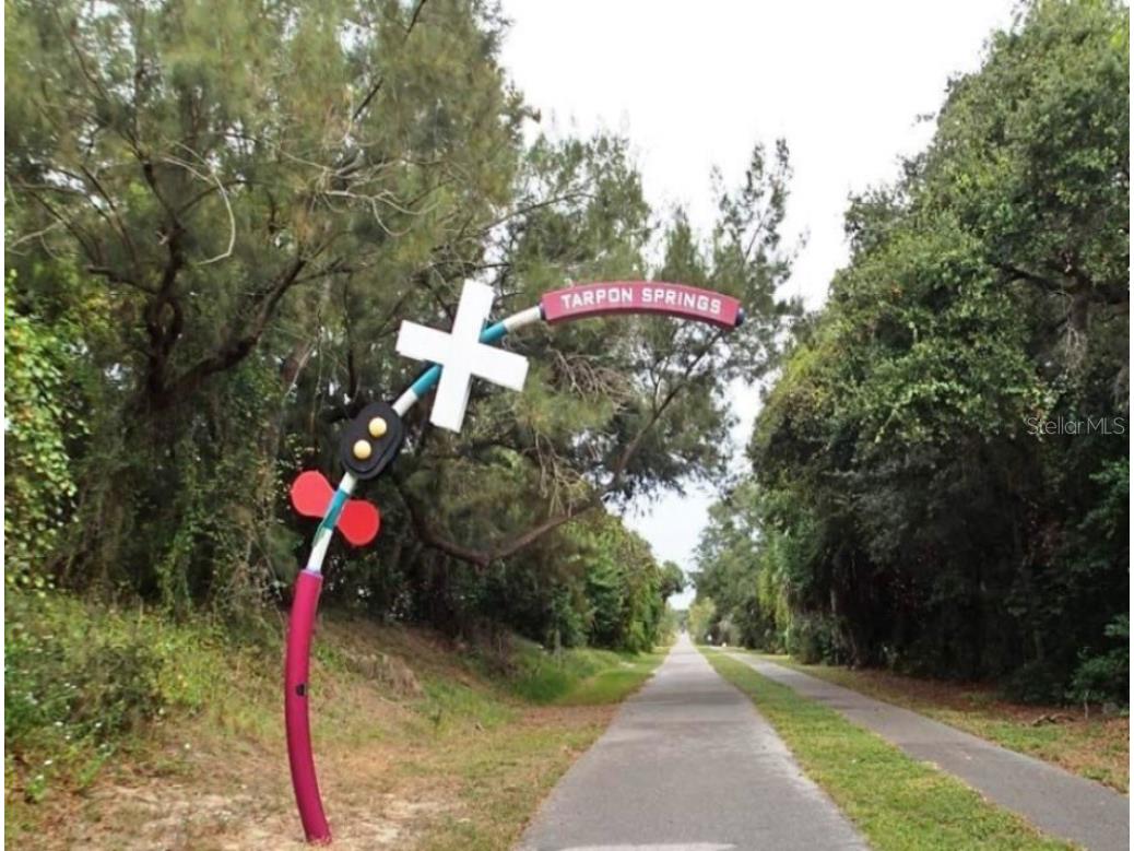 4908 Harbor Woods Drive Palm Harbor FL 34683 TB8463190 image67