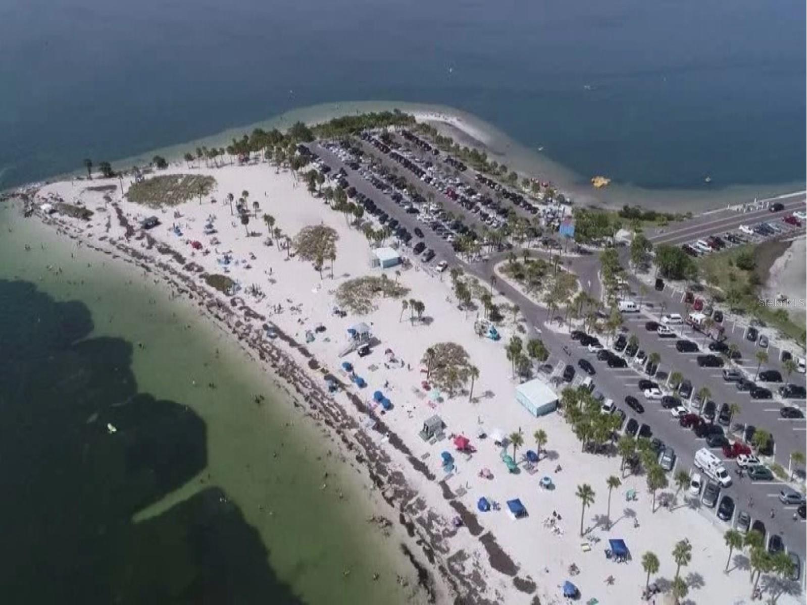 4908 Harbor Woods Drive Palm Harbor FL 34683 TB8463190 image74