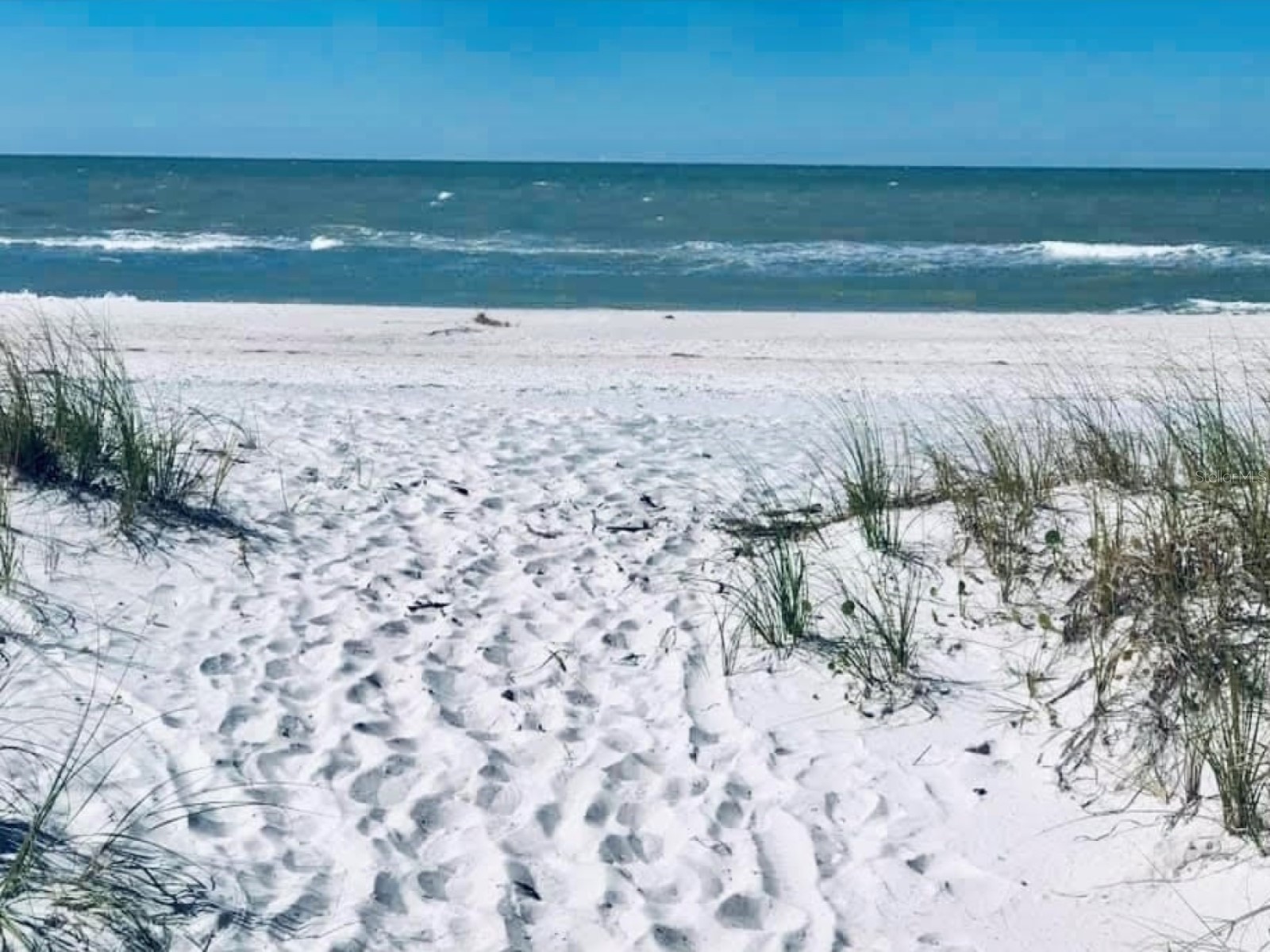 4908 Harbor Woods Drive Palm Harbor FL 34683 TB8463190 image75