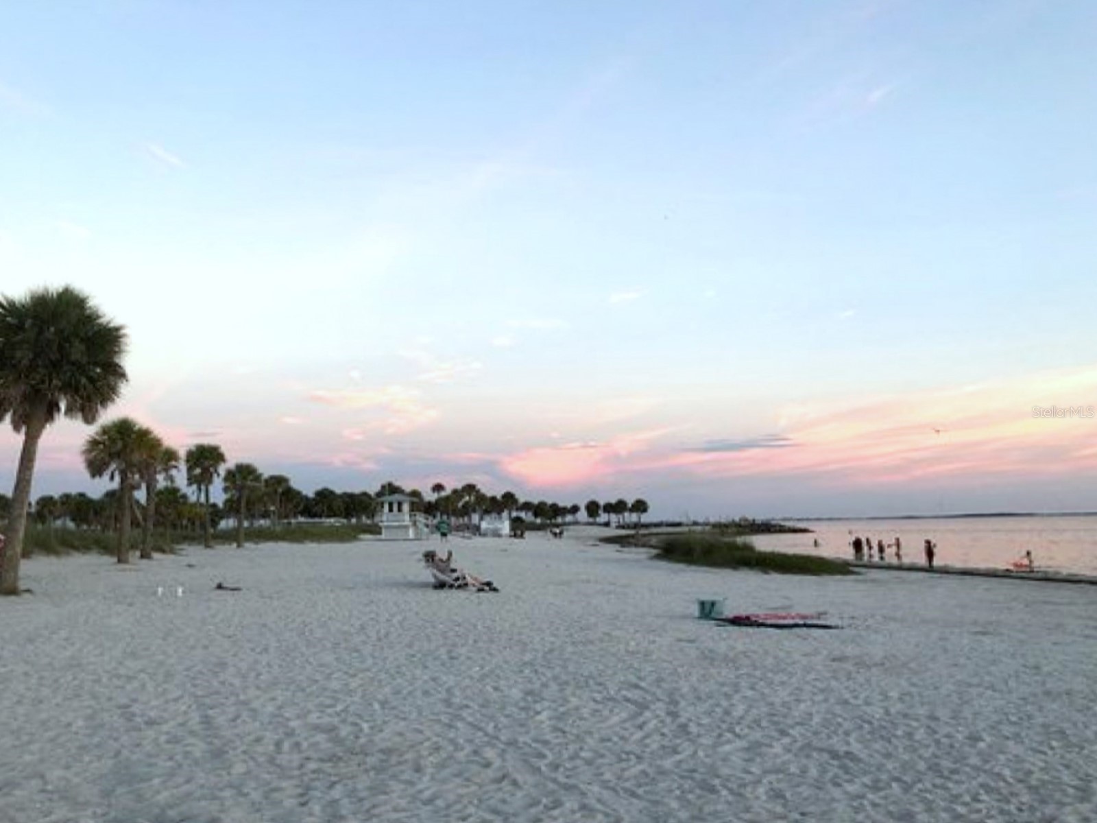 4908 Harbor Woods Drive Palm Harbor FL 34683 TB8463190 image76