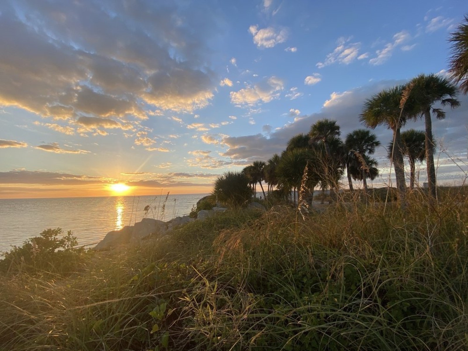 4908 Harbor Woods Drive Palm Harbor FL 34683 TB8463190 image79