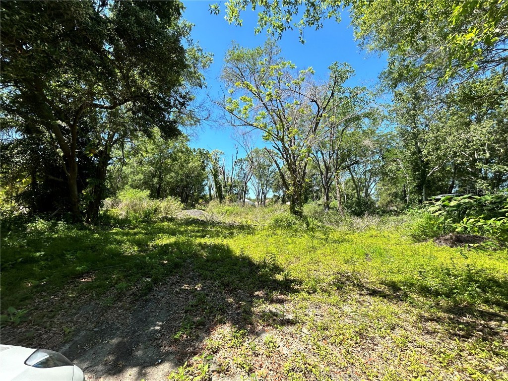 4908 Rawls Tampa FL 33624 T3518823 image1