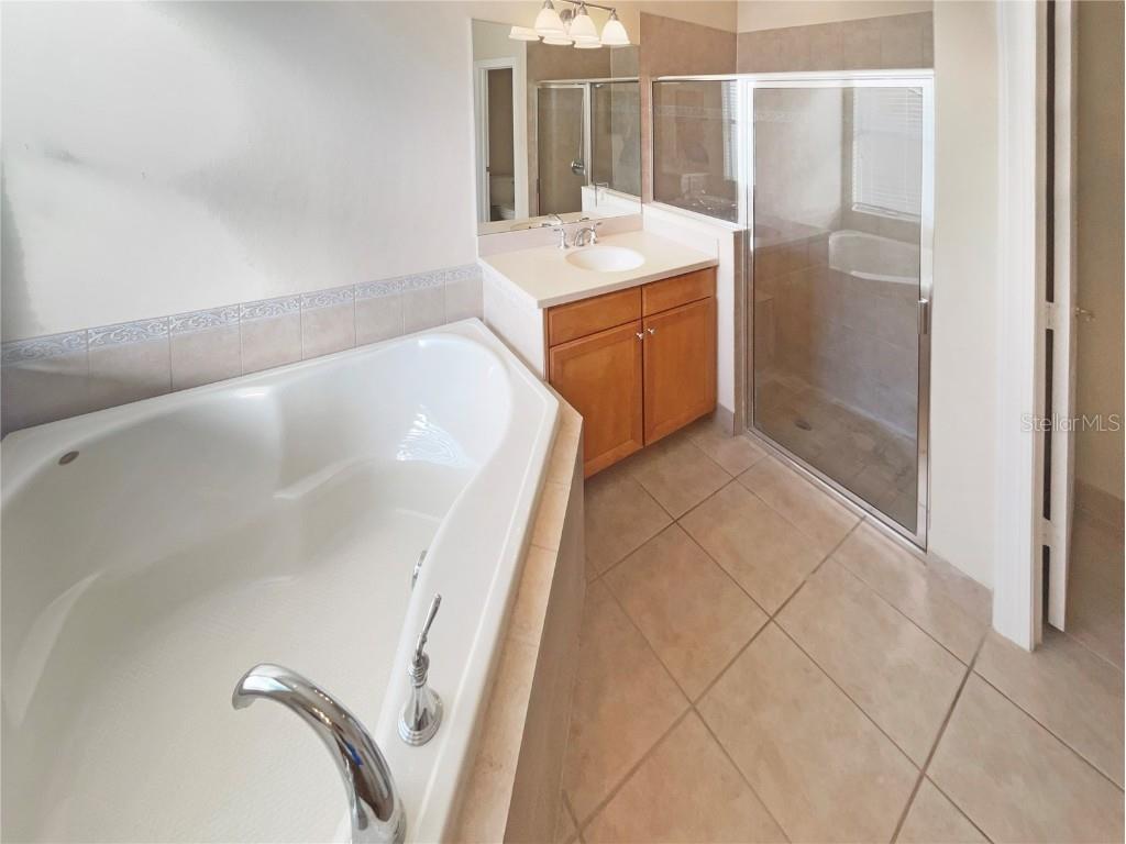 4908 Sandy Brook Circle Wimauma FL 33598 O6365544 image15