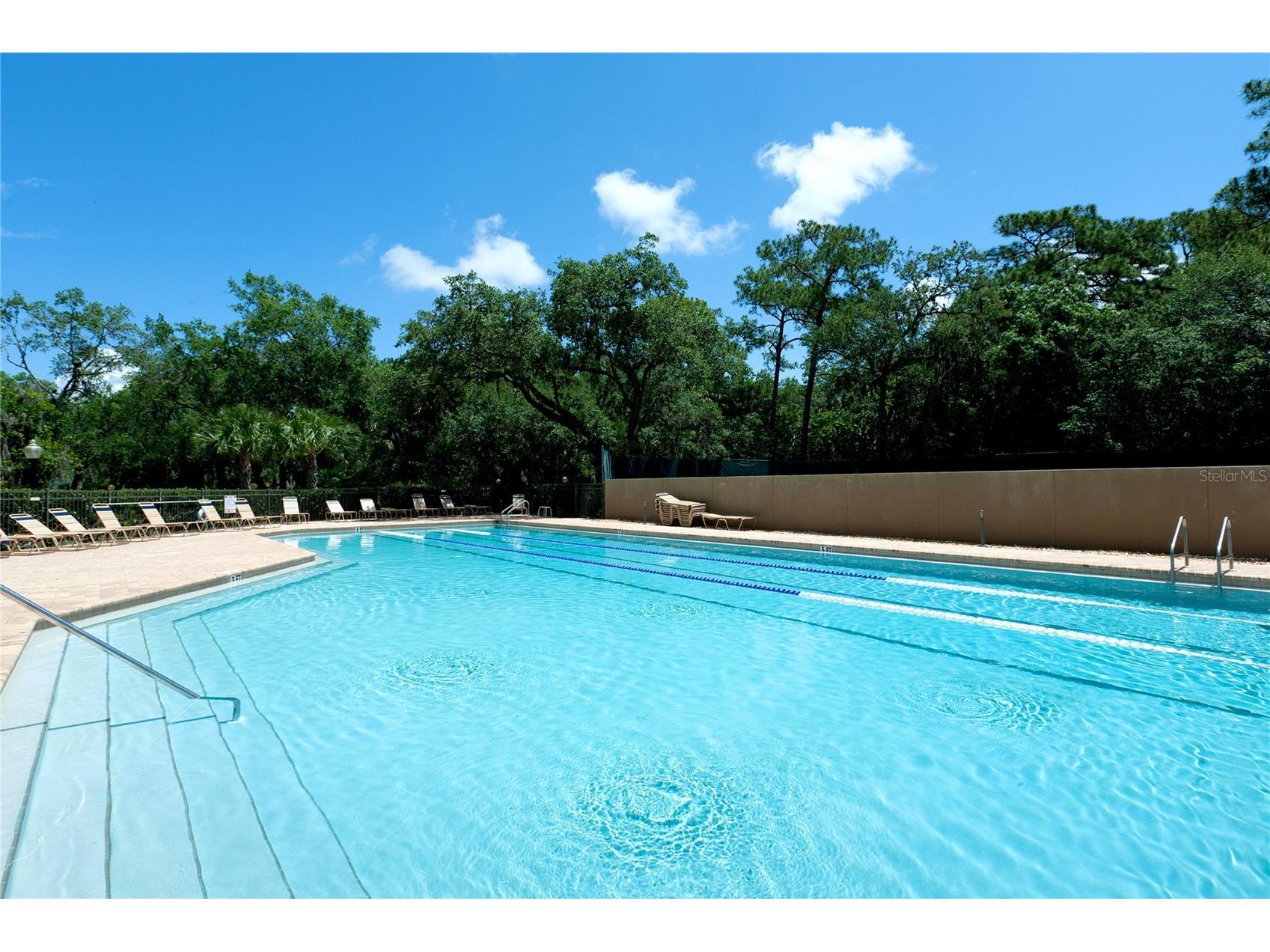 4908 Taywater Dell Sarasota FL 34235 A4694764 image58