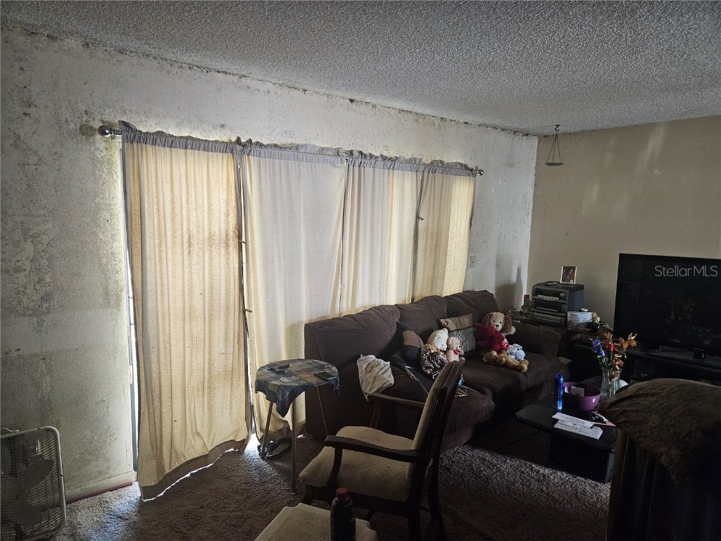 4909 Puritan Circle #2202 Tampa FL 33617 TB8417686 image3