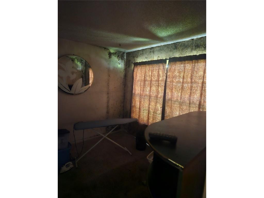 4909 Puritan Circle #2202 Tampa FL 33617 TB8417686 image4