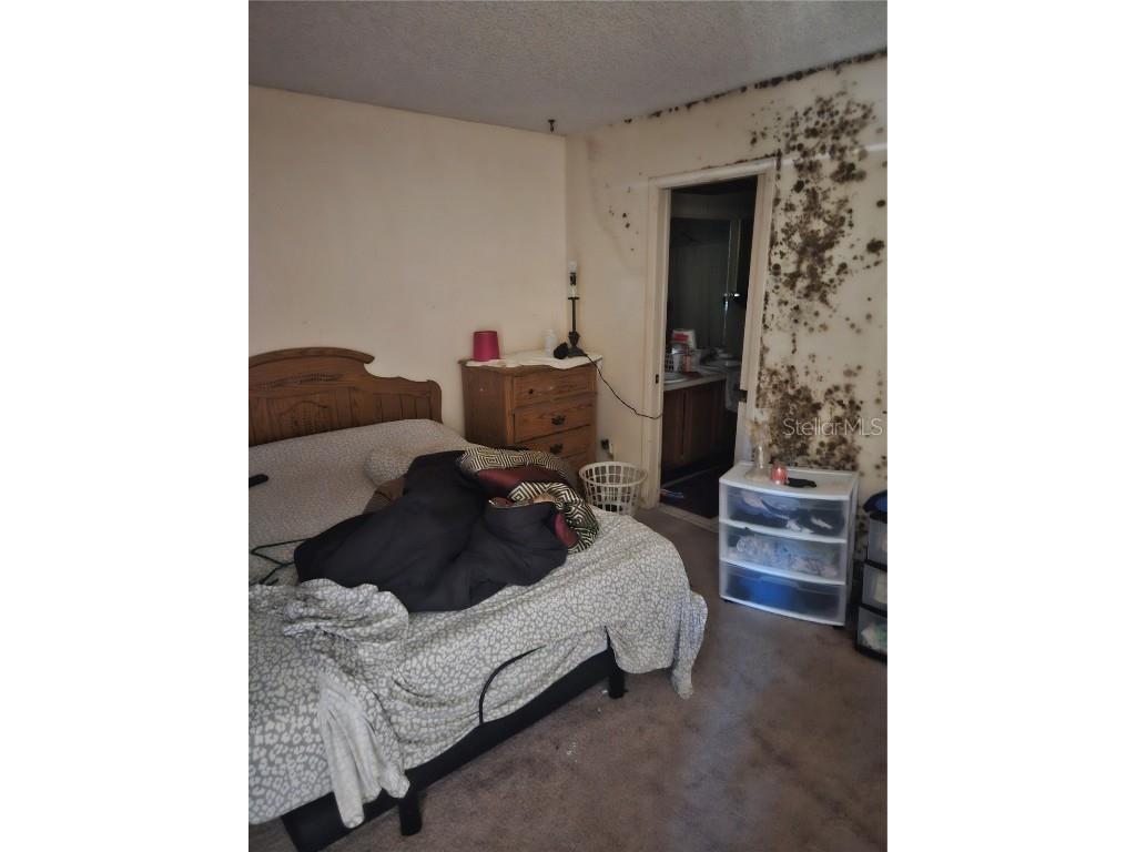 4909 Puritan Circle #2202 Tampa FL 33617 TB8417686 image5