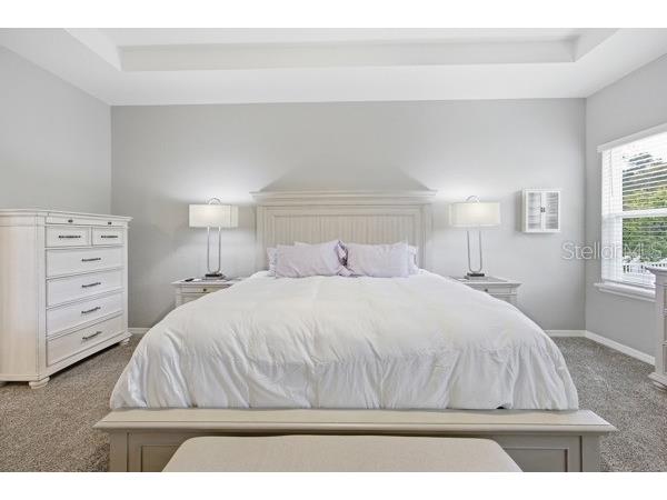 4909 SW 107 Loop Ocala FL 34476 OM722605 image14