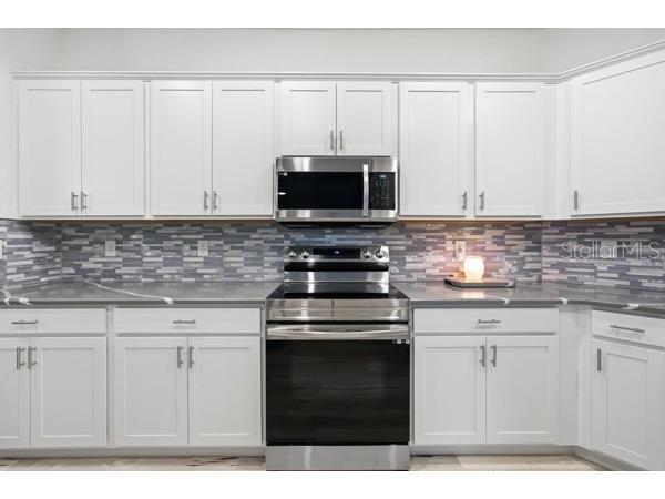 4909 SW 107 Loop Ocala FL 34476 OM722605 image9