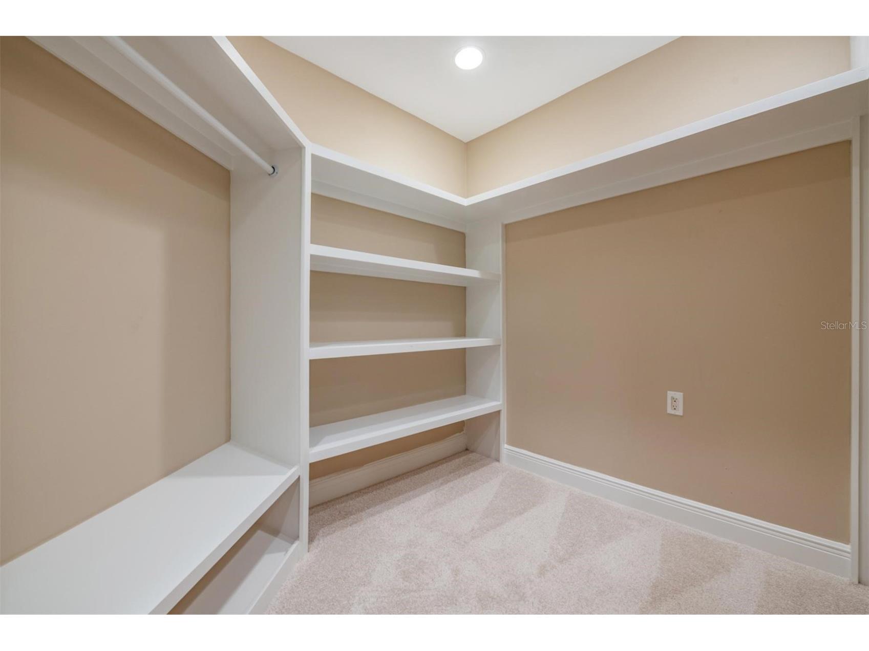 4909 W Dryad Street Tampa FL 33629 TB8474713 image27