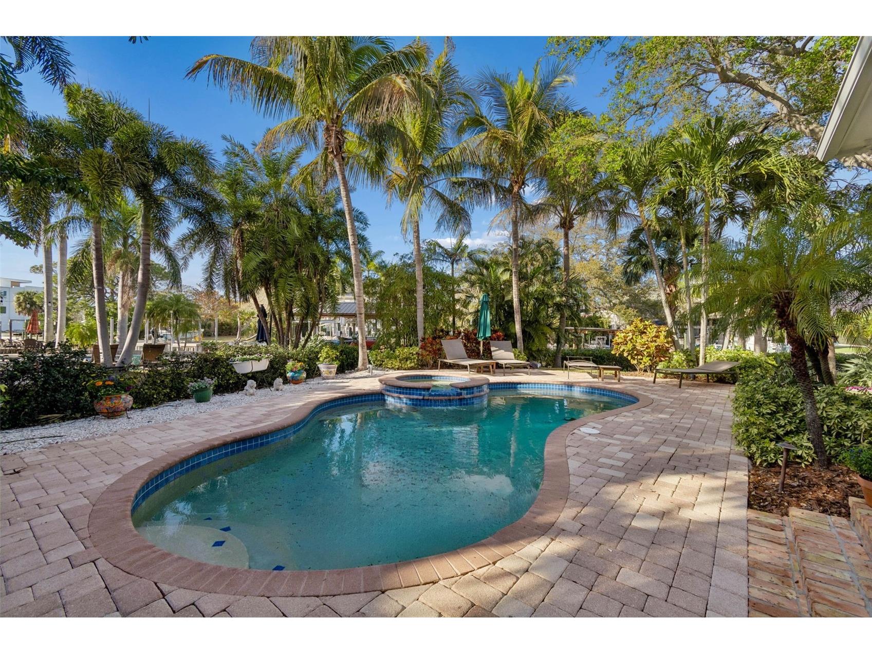 4909 W Spring Lake Drive Tampa FL 33629 TB8479405 image4