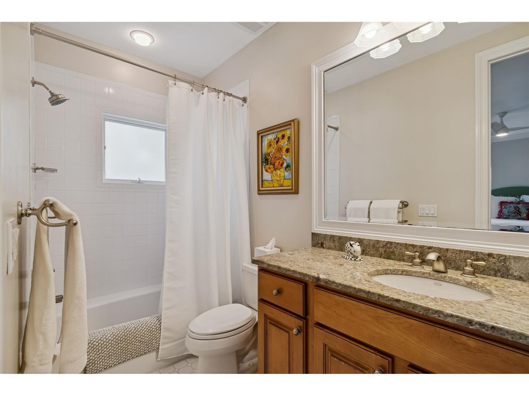 4909 W Spring Lake Drive Tampa FL 33629 TB8479405 image55