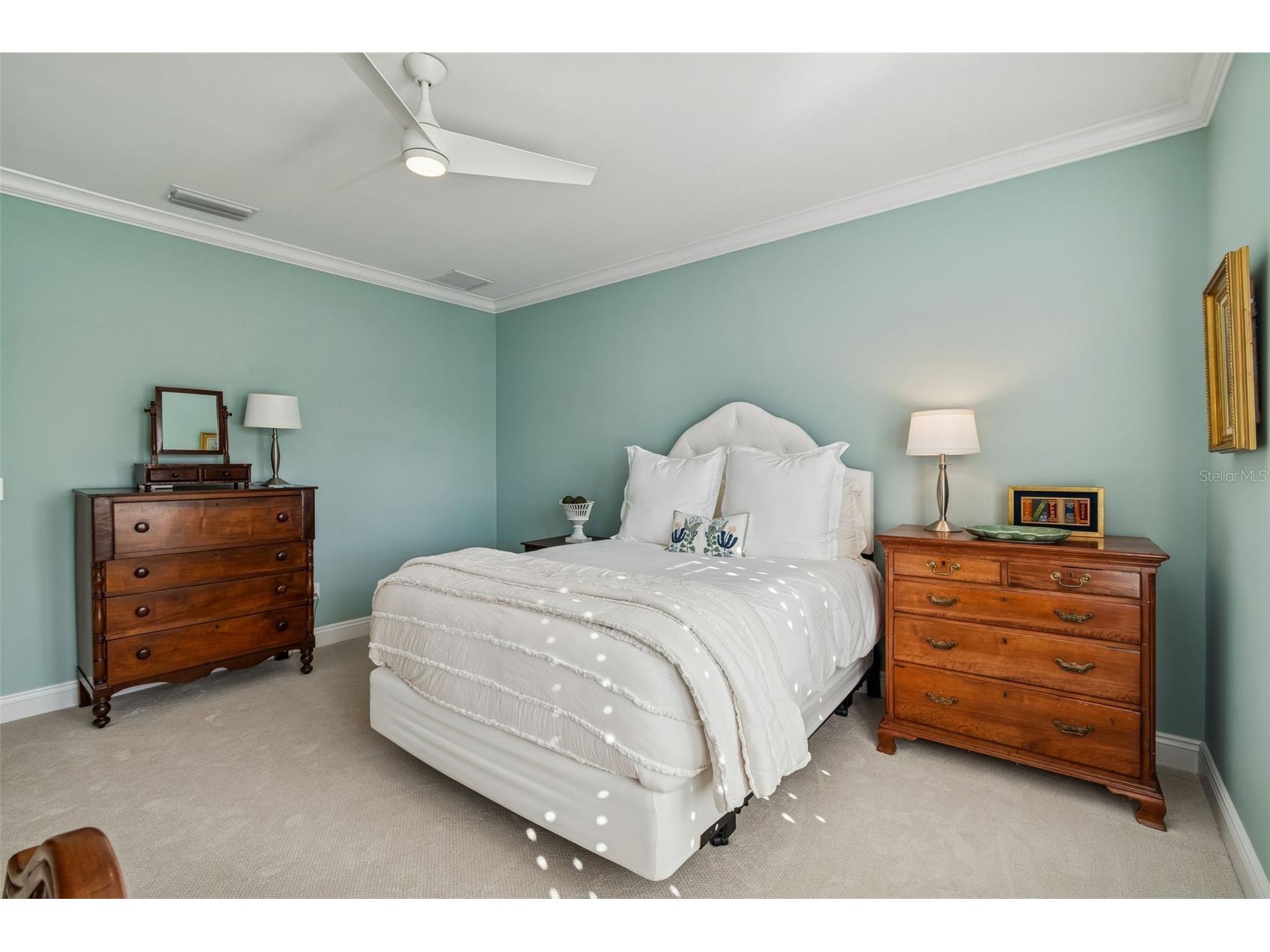 4909 W Spring Lake Drive Tampa FL 33629 TB8479405 image57