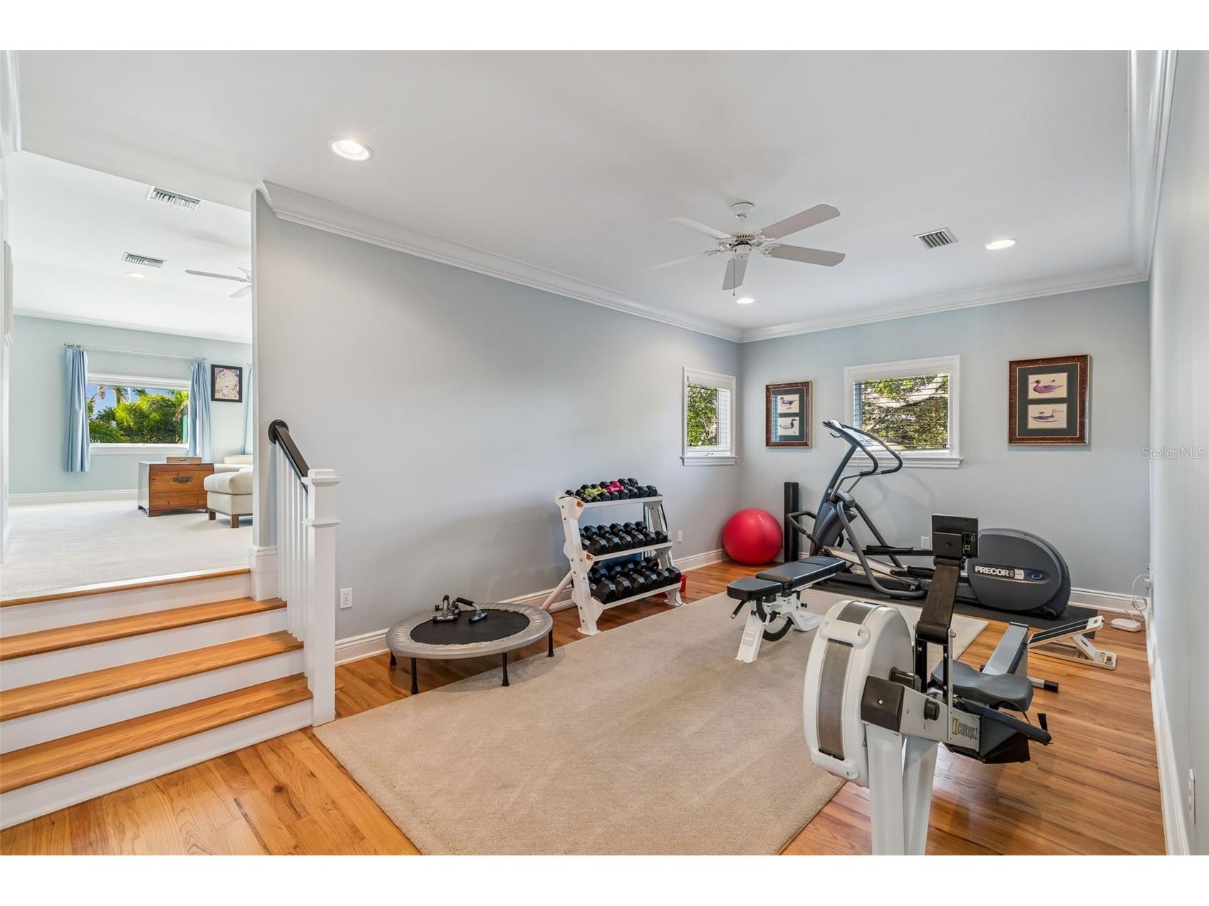 4909 W Spring Lake Drive Tampa FL 33629 TB8479405 image65
