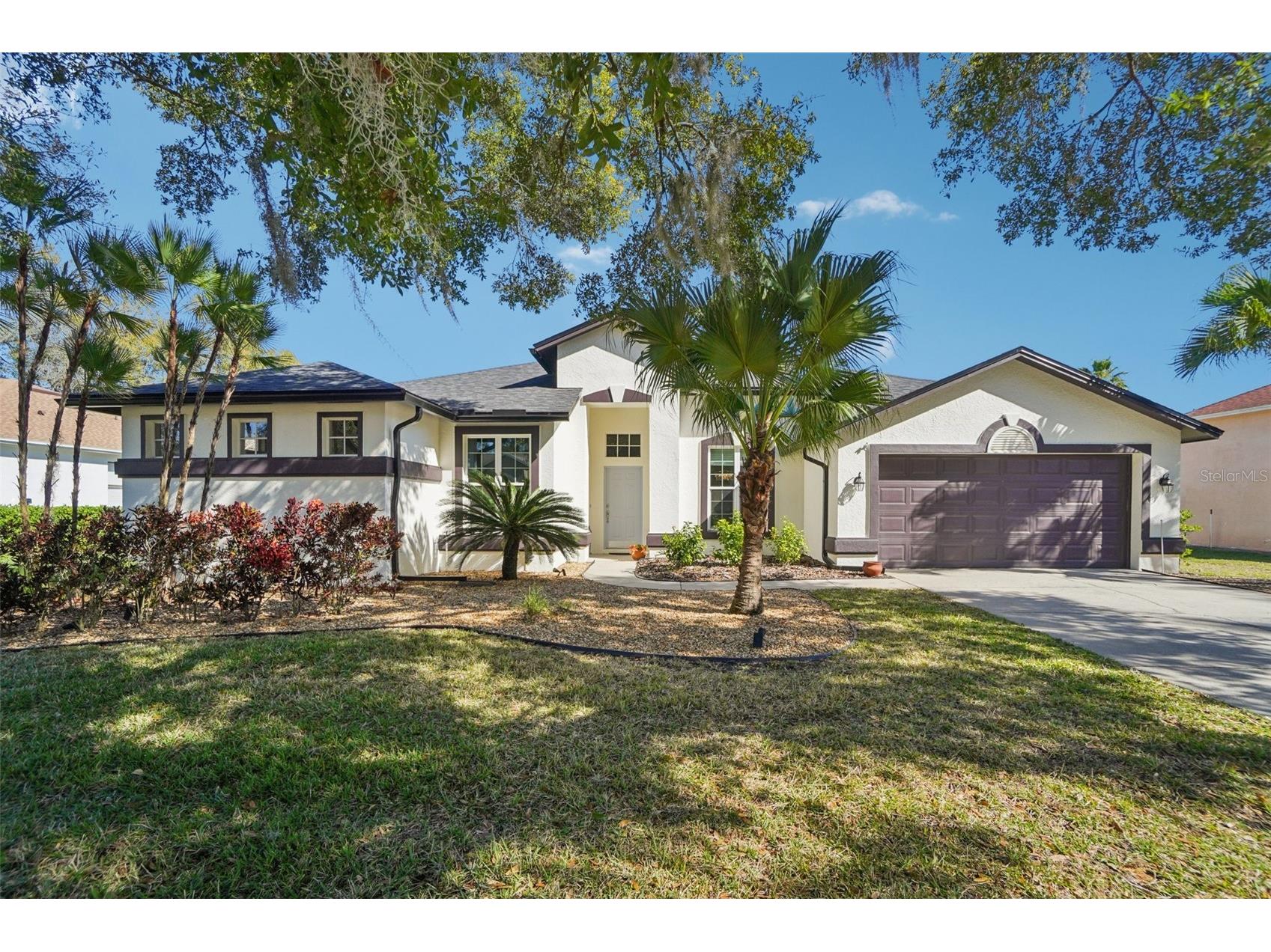 4909 Willow Ridge Terrace Valrico FL 33596 TB8469671 image1