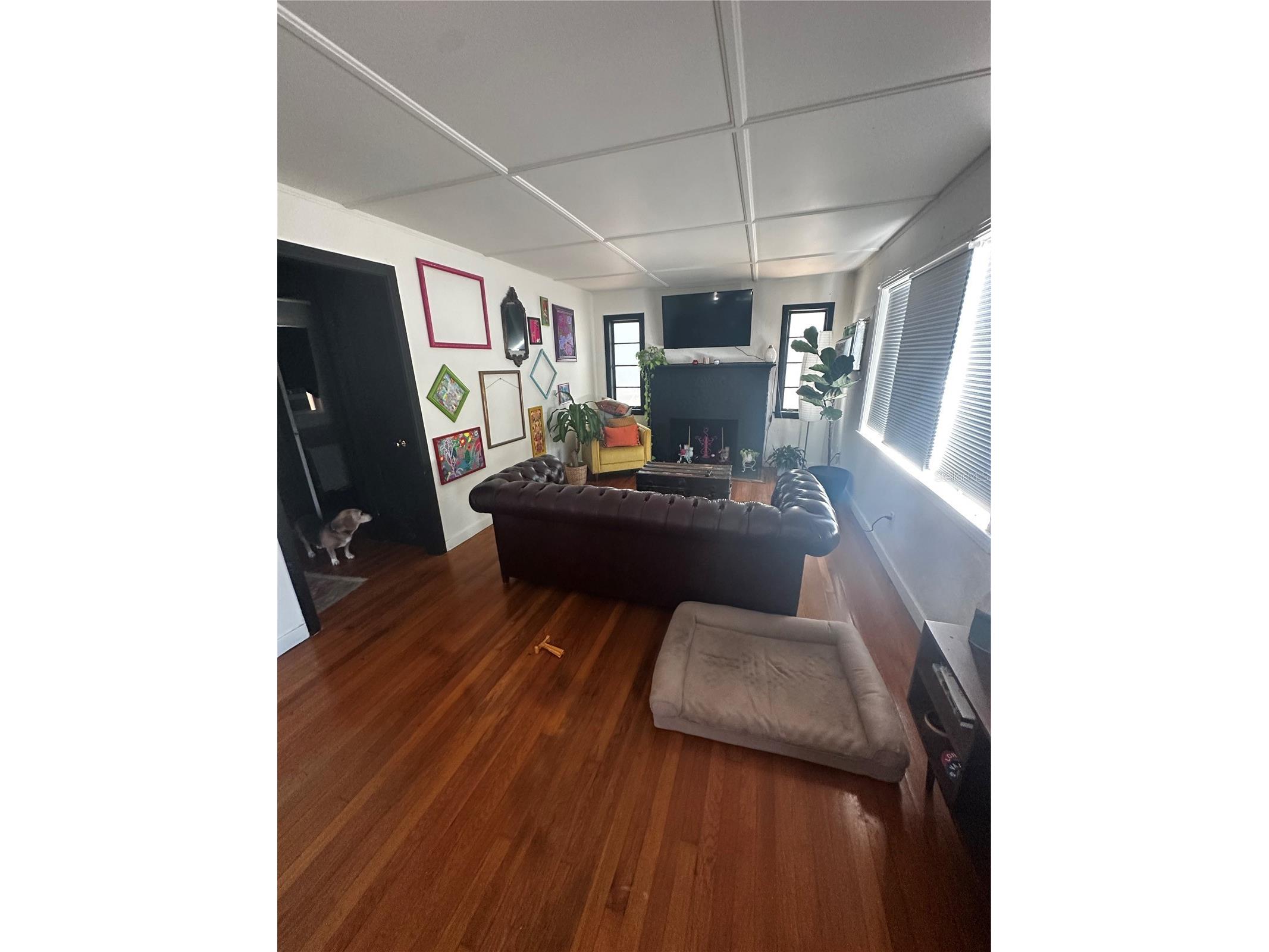 491 31st Avenue N Saint Petersburg FL 33704 TB8490541 image12