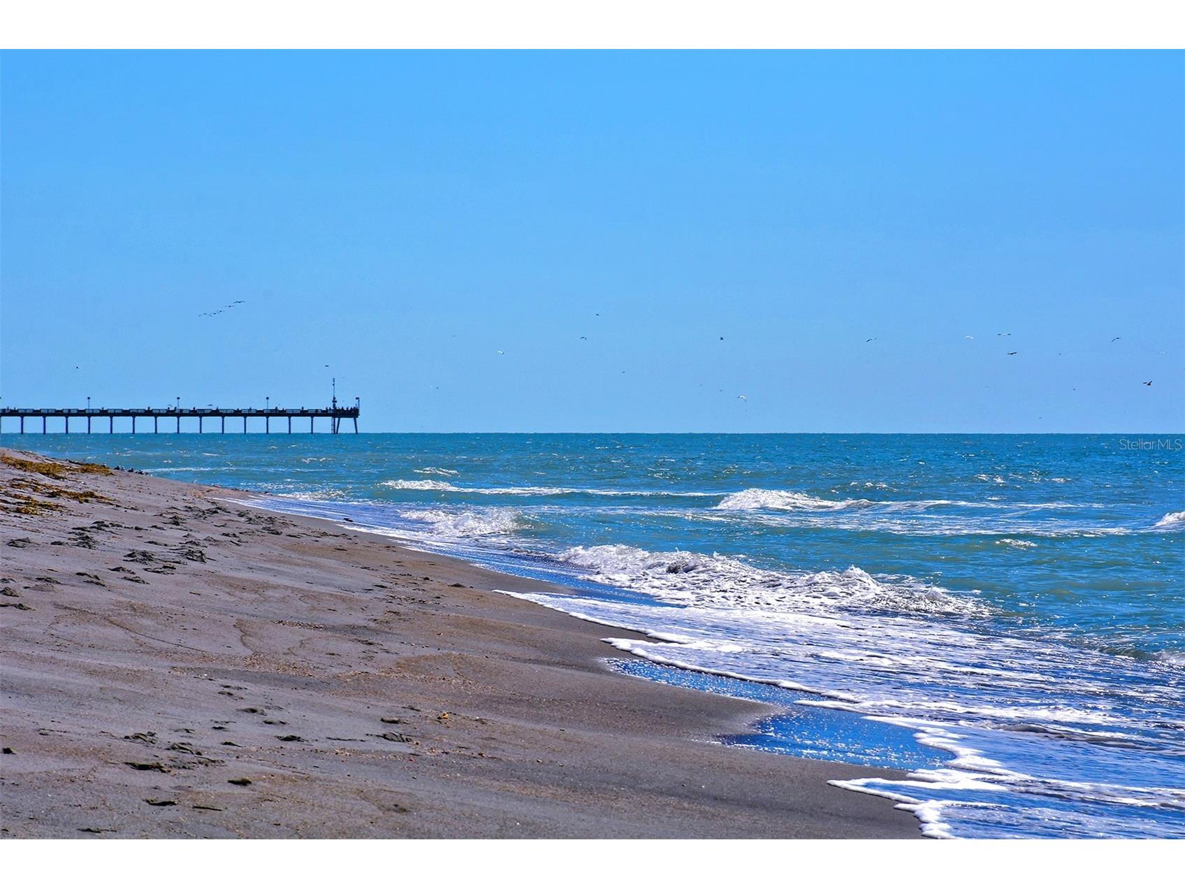 491 Daylily Boulevard Nokomis FL 34275 TB8439359 image86