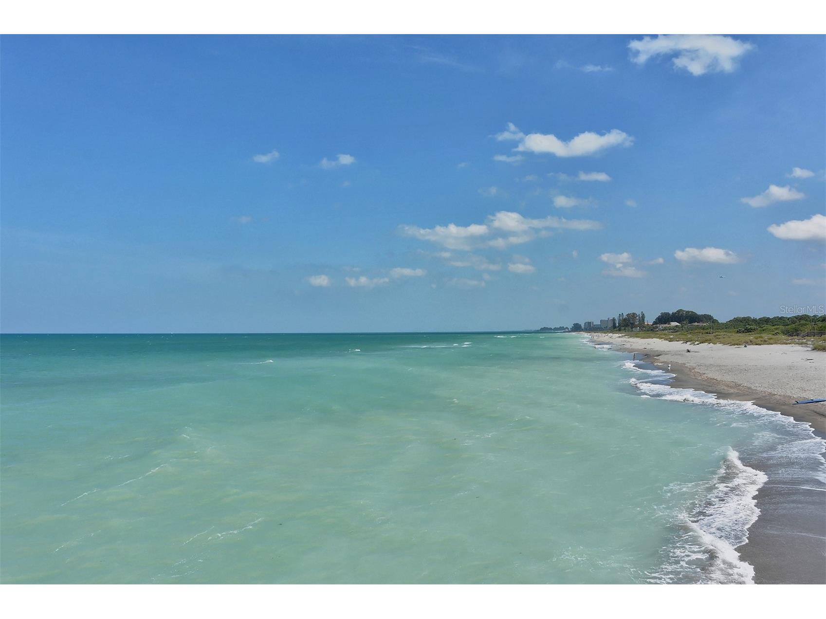 491 Daylily Boulevard Nokomis FL 34275 TB8439359 image93