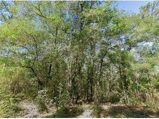 491 E Nemo Drive Dunnellon FL 34434 O6340221 image1