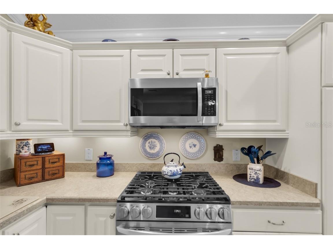 491 Harlow Lane The Villages FL 32163 OM708408 image17