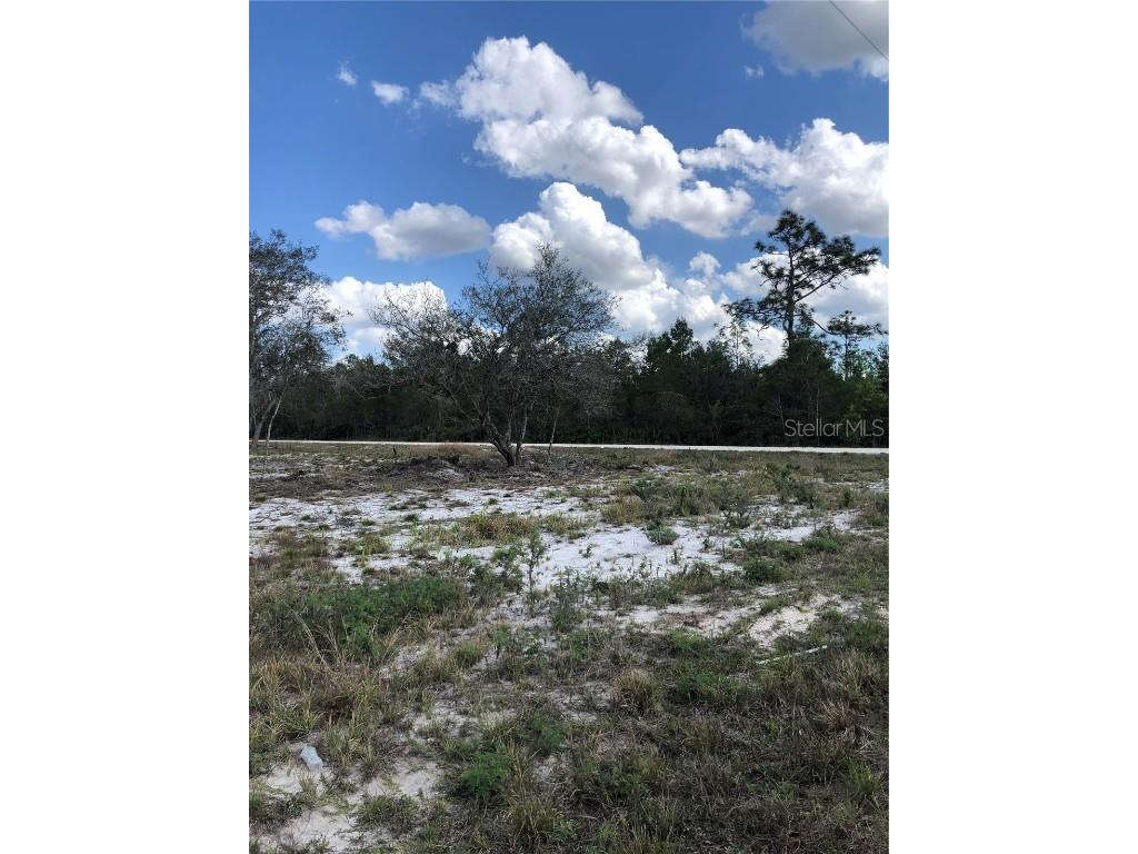 491 Hobbs Drive Venus FL 33960 T3471412 image1