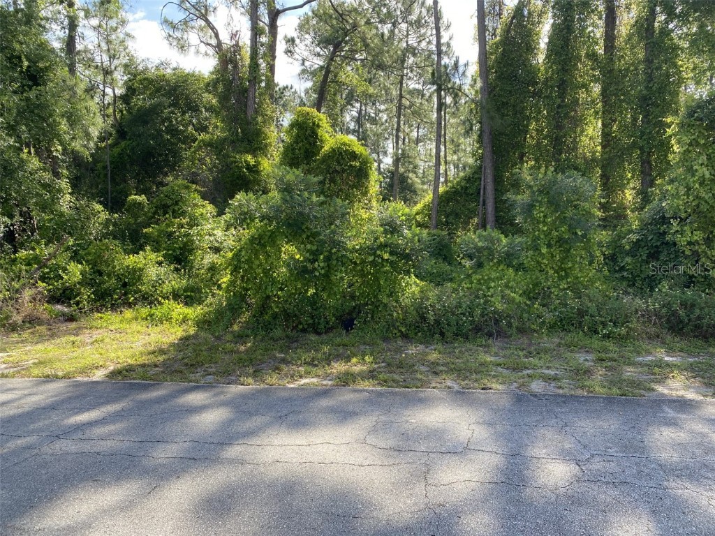 491 Katherwood Court Deltona FL 32738 - LAKE BUTLER O6199913 image1