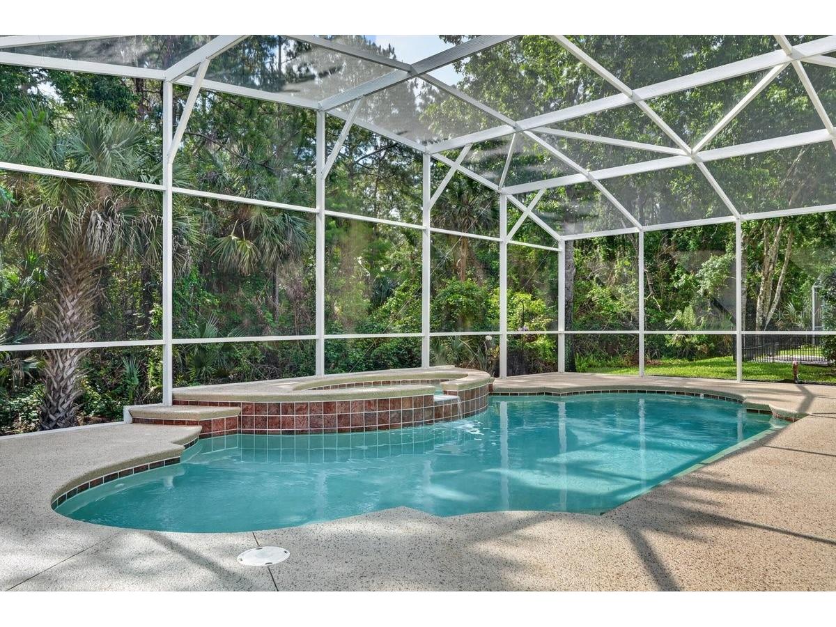491 Luna Bella Lane New Smyrna Beach FL 32168 V4949696 image50