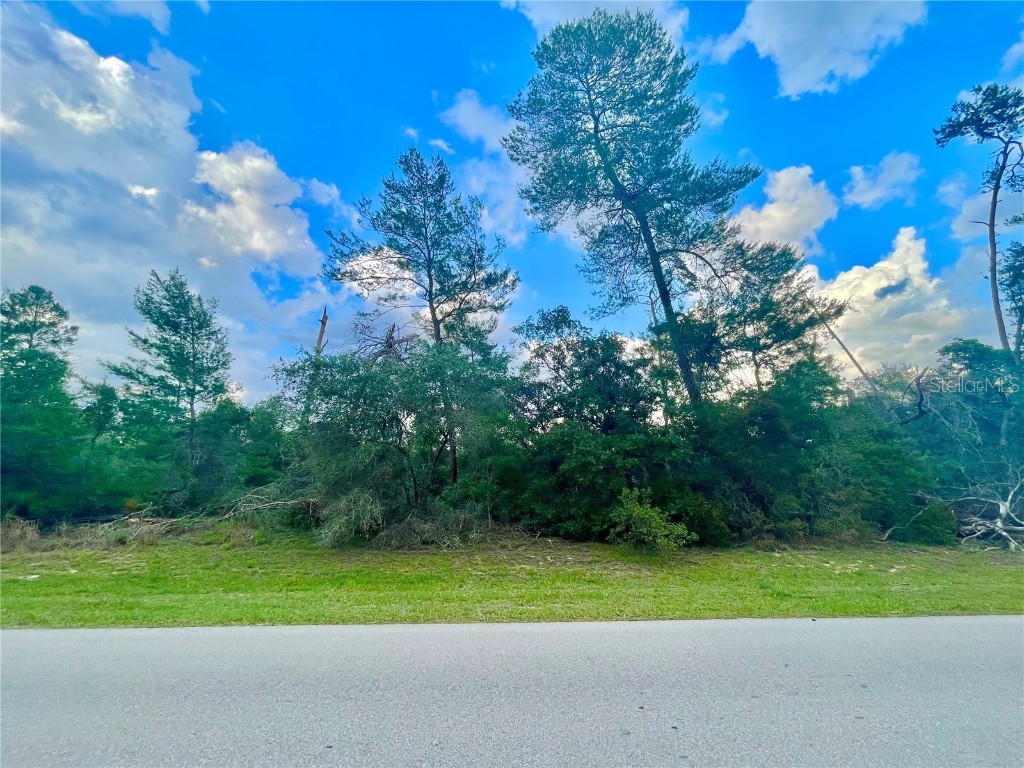 491 Marion Oaks Lane Ocala FL 34473 OM658323 image1