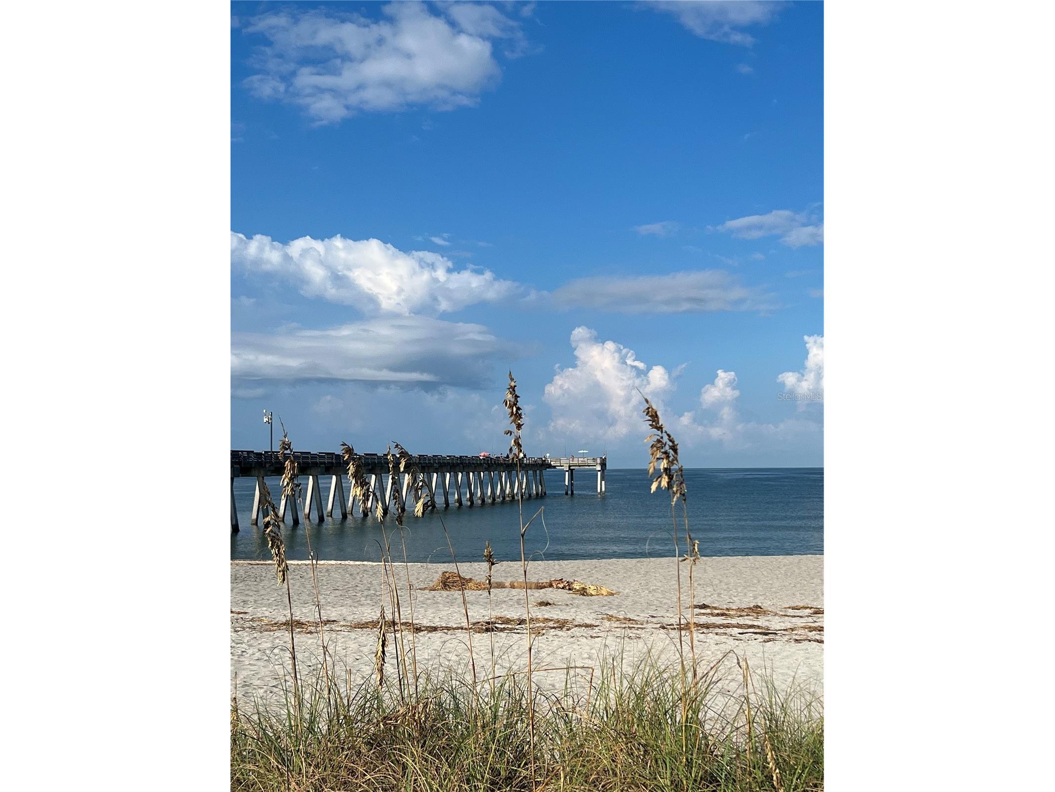 491 S Venice Boulevard Venice FL 34293 A4690425 image27