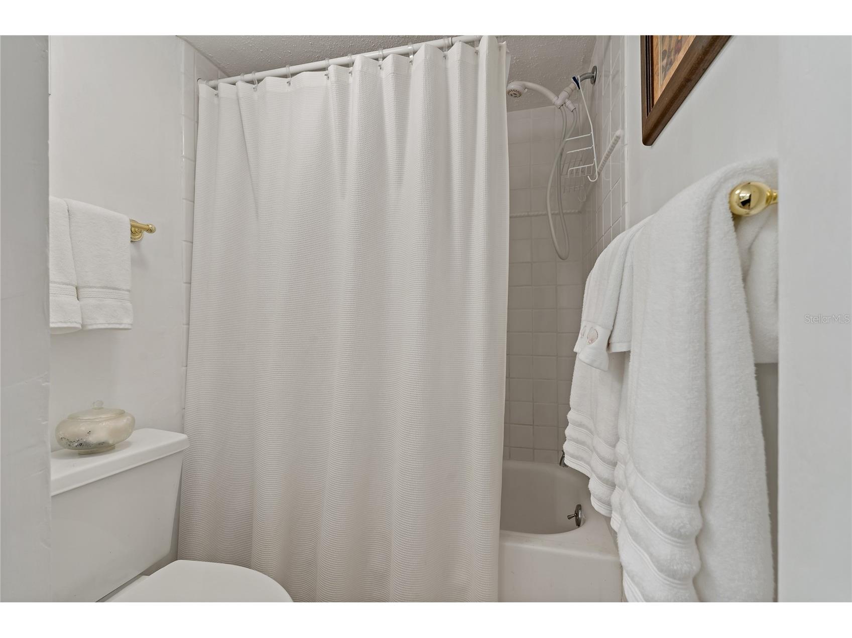 4910 38th Way S #108 Saint Petersburg FL 33711 TB8430906 image23